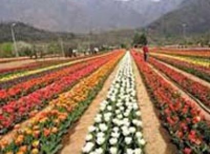 Splendid Kashmir Trip