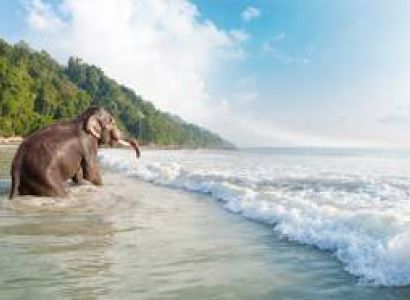 Andaman 6Nights - 7Days Tour Package