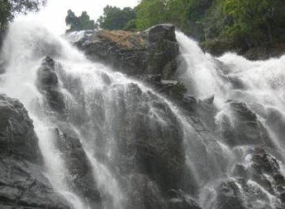 Coorg-Wayanad Tour