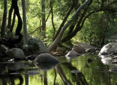 Treasure of Nature & Heritage Tour