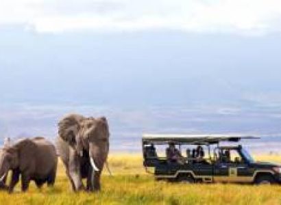 Africa – Amazing African Safari