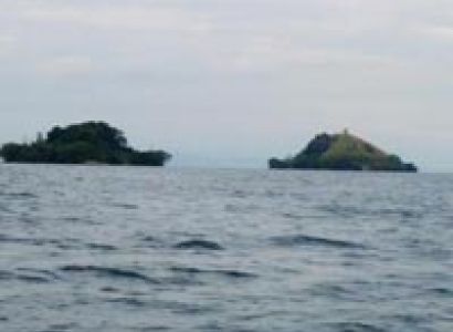 Rwanda Gorilla Direct! (3 days / 2 nights) Tour