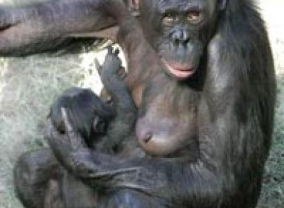 14Days Super Rwanda Tour