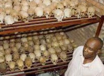 4Days Gorills, golden Monkeys, Diana Fossey Tomps Tour