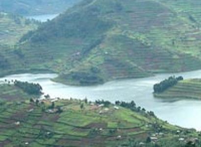 4-Day Mountain Gorilla Adventure Tour