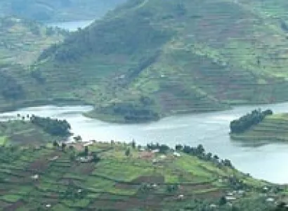 5-Day Rwanda Gorilla Trekking Expedition 7464 Tour