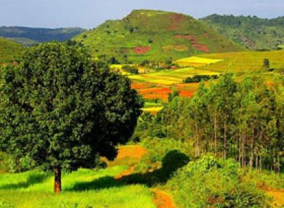 2 N 3 D Only Araku Tour