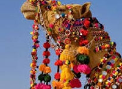 Rural Rajasthan Tour