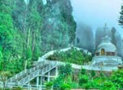 Discover Queen of Hills Tour