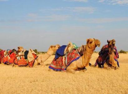 Best of Kutch Tour