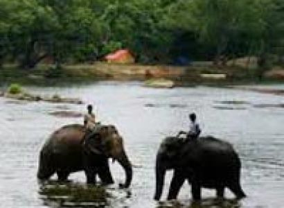 4 Blissful Days in Coorg Tour