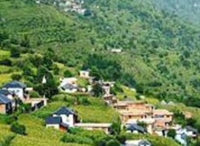 Dharamshala Volvo Package