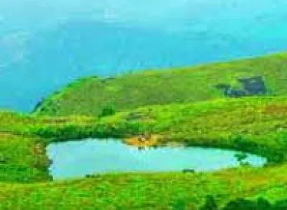 Mysore To Wayanad (Arriving & Dropping – Mysore) Tour