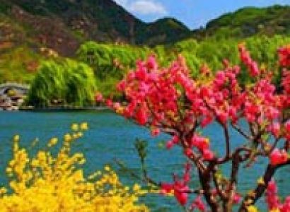 Delhi Manali Volvo Tour