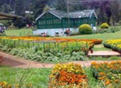 South India Tour Ooty Tour Package