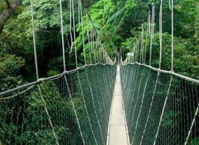 Taman Negara National Park Package