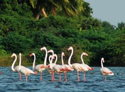 Inspiring Kerala Tour