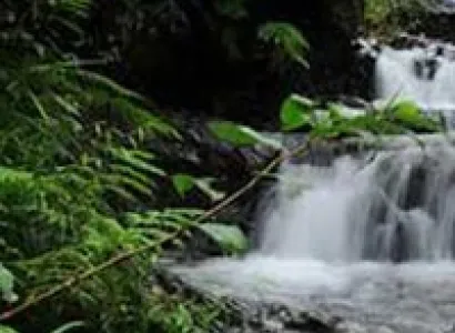 Wayanad Weekend Tour