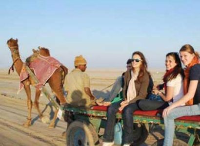 Gujarat Desert Beach Tour