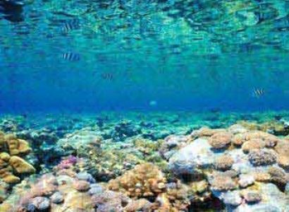 Amazing Andaman Tour