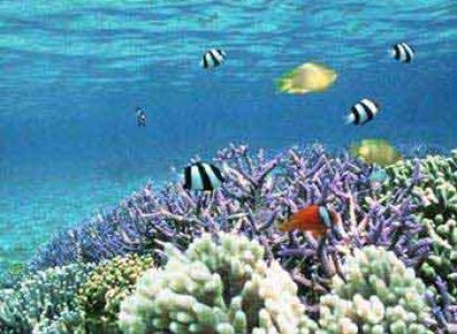 Wonderful Andaman Tour