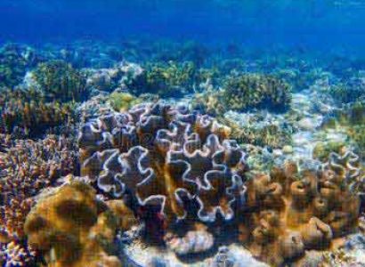 Andaman Delight Trip Package
