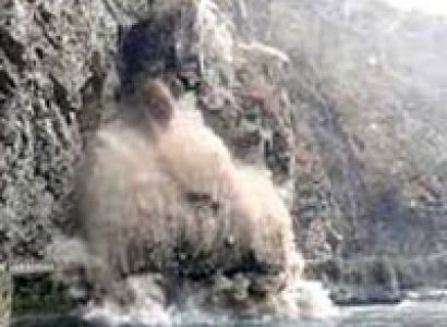 Trans Himalayan Safari Tour