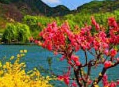 Delhi Manali Tour by Volvo