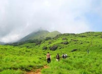 Short Escape to Wayanad Tour