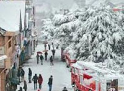 Shimla Calling Tour