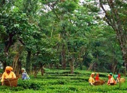 Himachal Heritage Tour