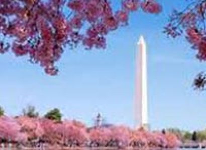 New York, Nigara Falls with Washington DC Tour