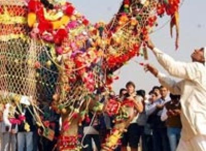 Sampurna Rajasthan 11 Days Tour