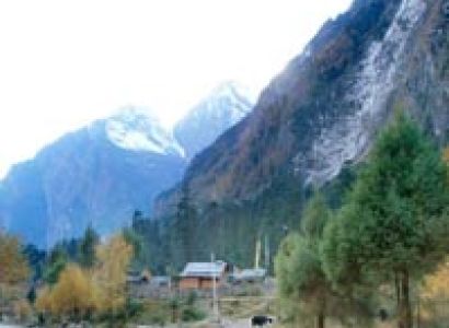 Dzongri Goecha La Trek Tour