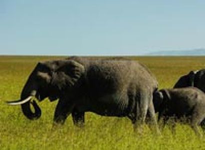 9 Days 8 Nights Tour