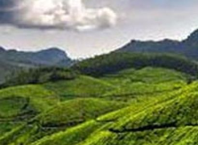 3 Nights/ 4 Days Cochin-Munnar-Alleppey-Cochin Tour