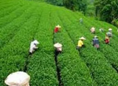 Heaven On Hills Tour