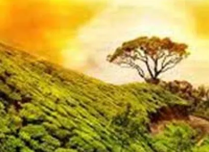 Place full of Mountains,Greenary or Streams Tour