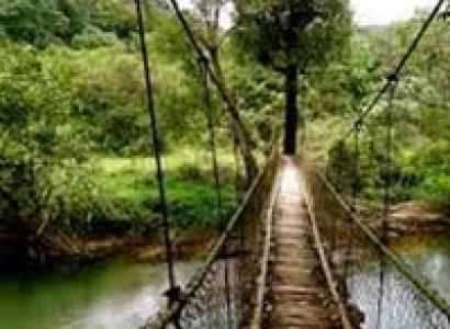 Southern Tour with Hills