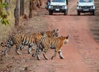 Rajasthan Wildlife Tour Package