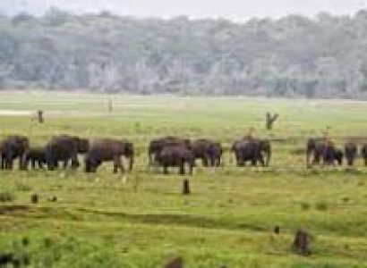 Wayanad & Kabini from Bangalore Tour