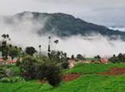 Ooty Coorg Hills with Wayanad Tour