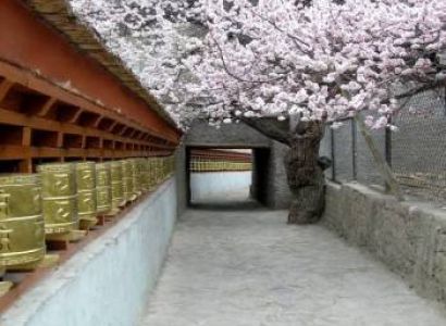 Excurison to Leh Tour