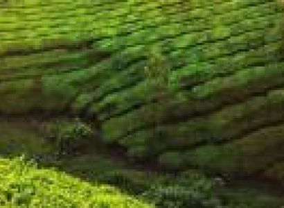 South India Spice Tour Package