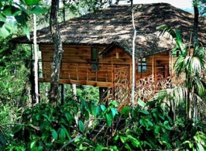 3 Days Periyar Tour with Treehouse