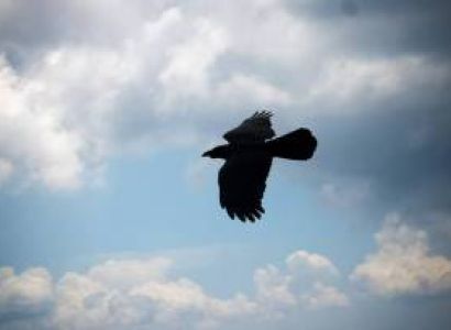 Kunjapuri Rishikesh Hike At Sunrise Tour