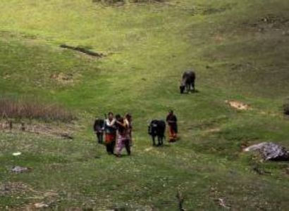 Dayara Bugyal Trek Tour