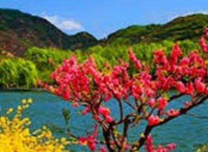 Kashmir - E - Kashmir Tour