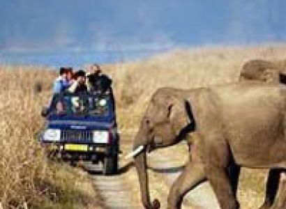 JIM Corbett Package