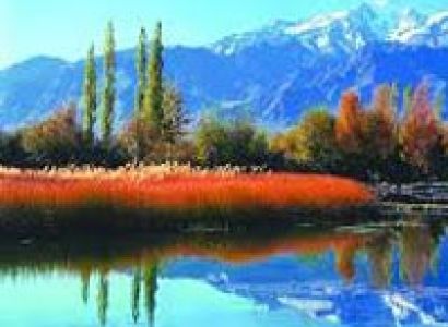 Magical Srinagar Tour.